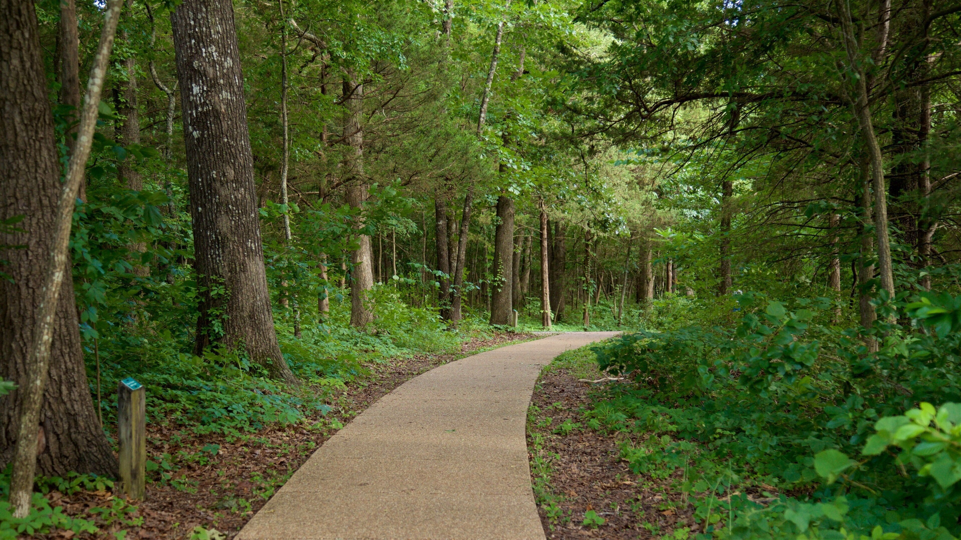 Table Rock Lake featuring a garden