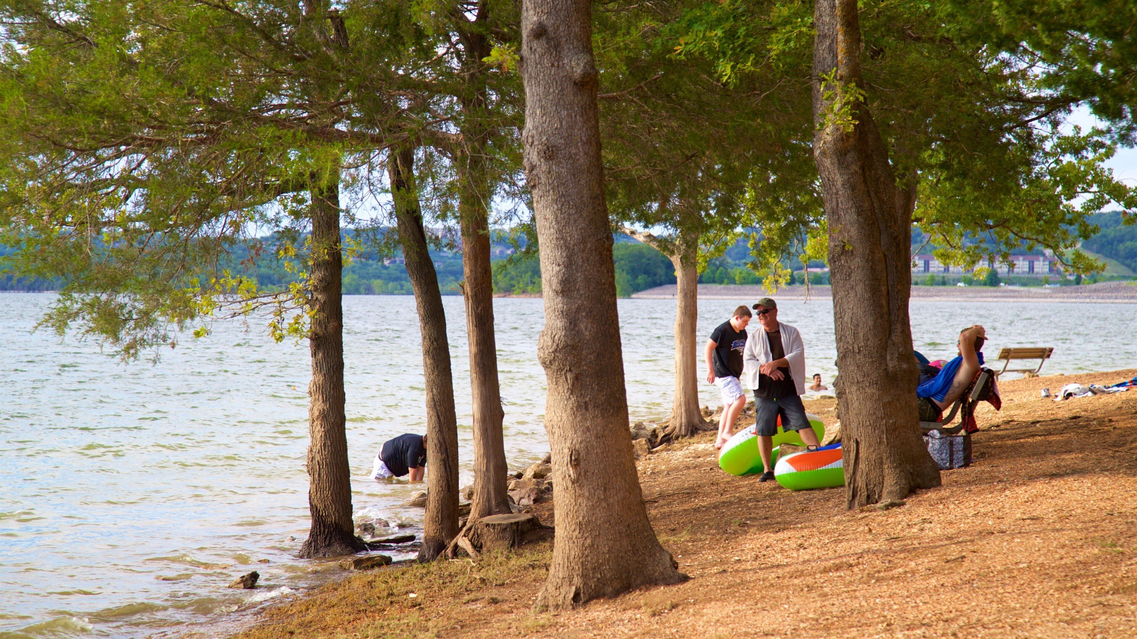 Table Rock Lake toont een strand en een meer of poel en ook een klein groepje mensen