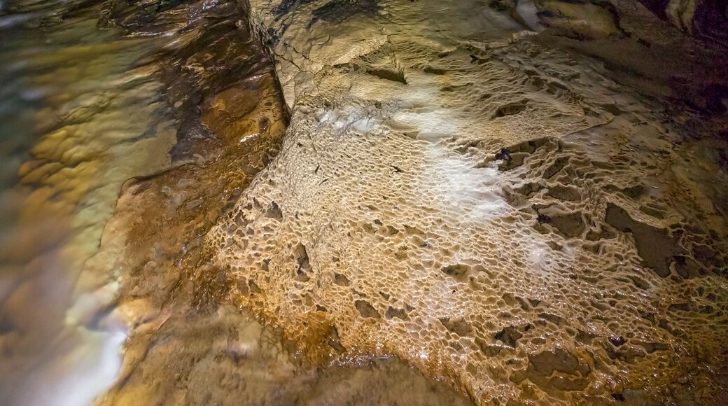 Indian Creek Caverns