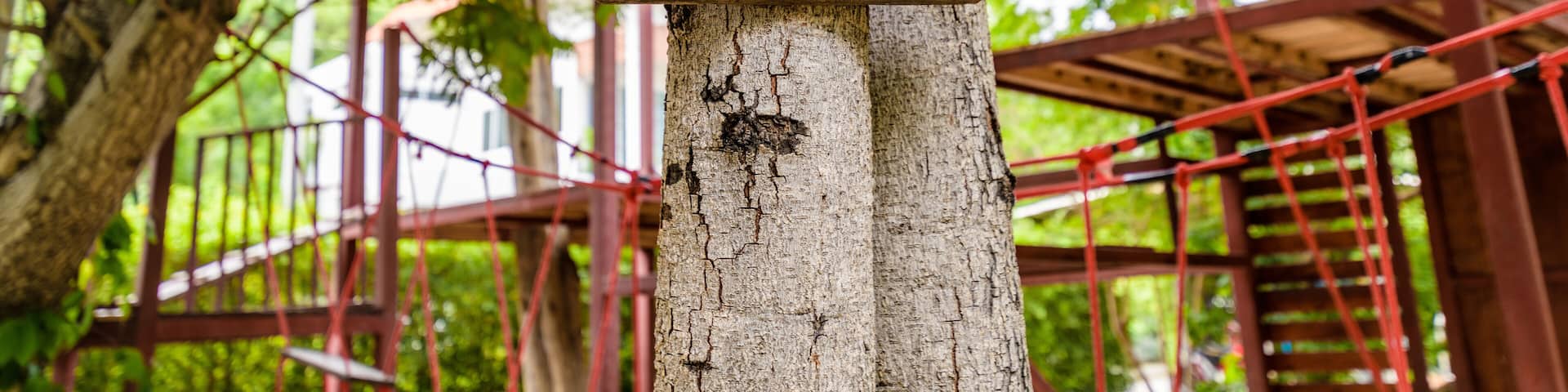 Kidzone - Kids Playground