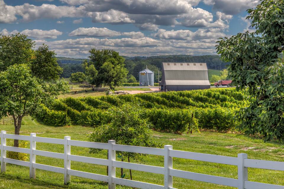 A rural landscape with a white fence, green fields, a silo, a barn, and a red truck.