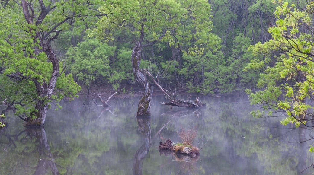 Pickle Springs Natural Area