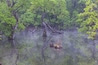 Reflections of the willow tree in the foggy forest reservoir where new green leaves sprout. Spring scenery of the main mountain area of Cheongsong County, North Gyeongsang Province.