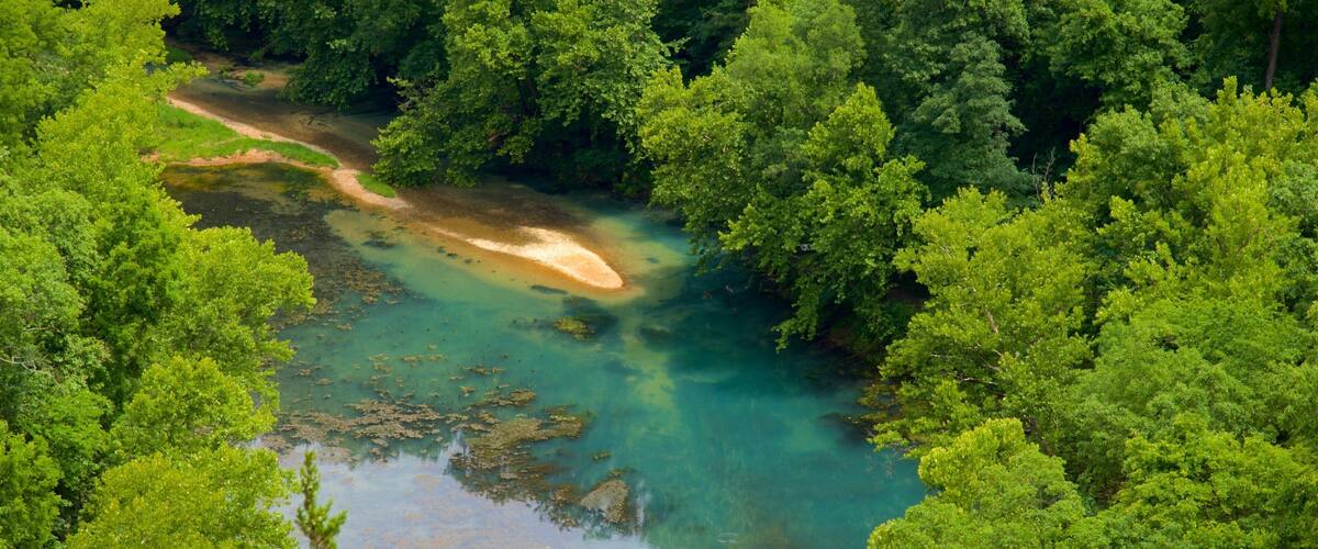 Ha Ha Tonka State Park showing forests and a lake or waterhole