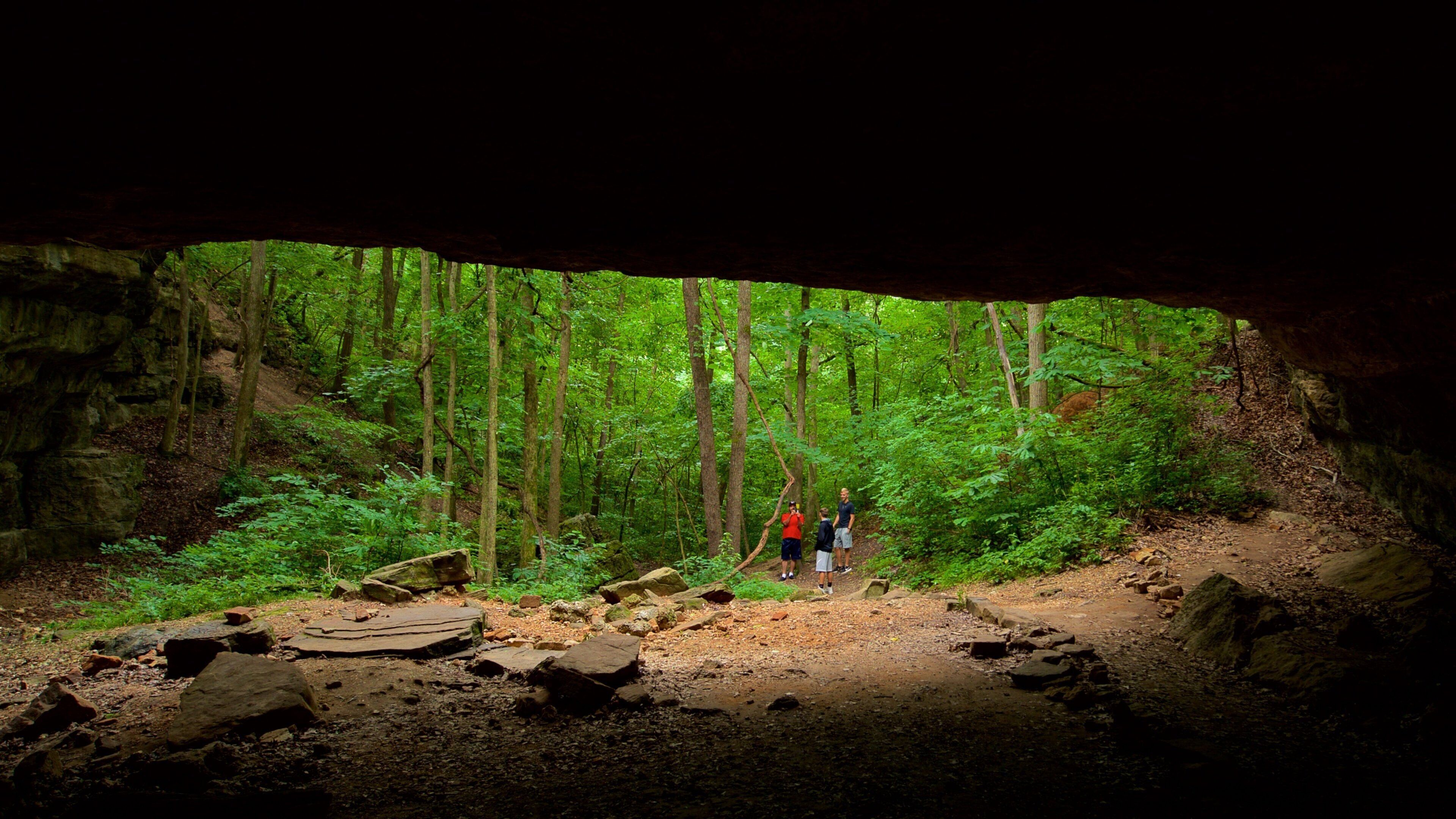 Ha Ha Tonka State Park inclusief grotten en bossen en ook een gezin