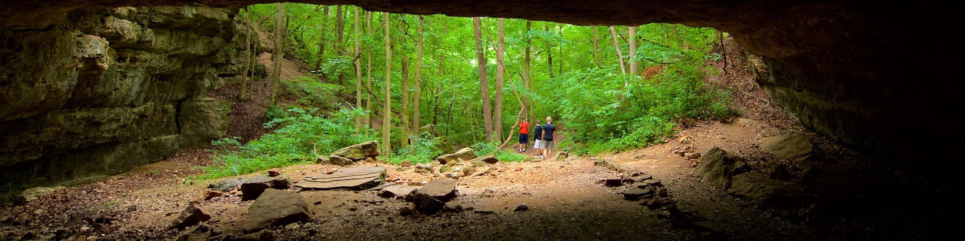 Ha Ha Tonka State Park showing caves and forests as well as a small group of people