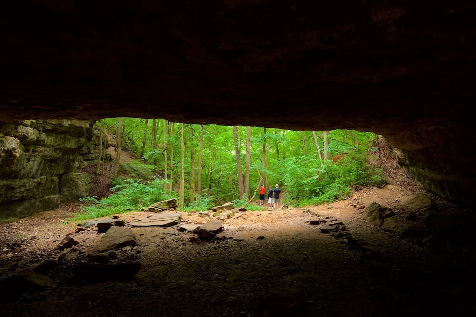 A cave entrance with a forest view.