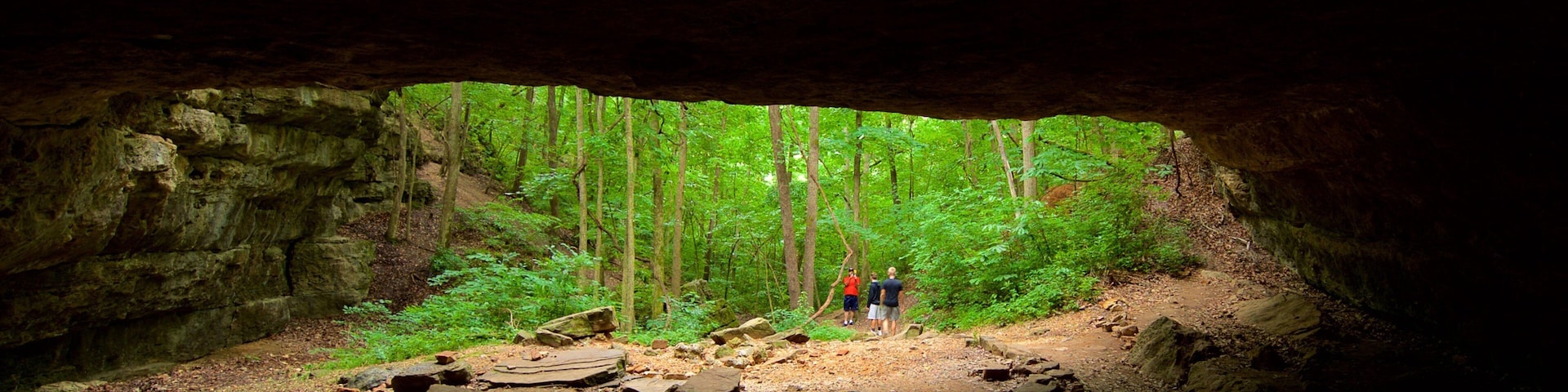 Ha Ha Tonka State Park showing caves and forests as well as a small group of people