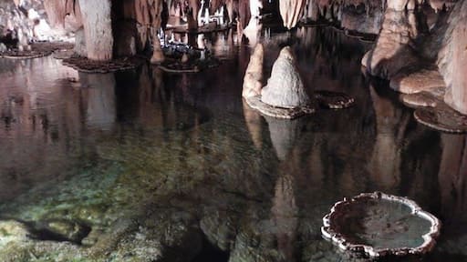 Lily Pad room in Onondaga Caves in Missouri. This is a beautiful room. If you enjoy spelunking, come here.