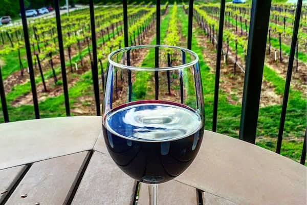 Missouri wineries have some of the most superb wine we've ever tasted! We recommend sipping on some chambourcin while basking in the sunshine.