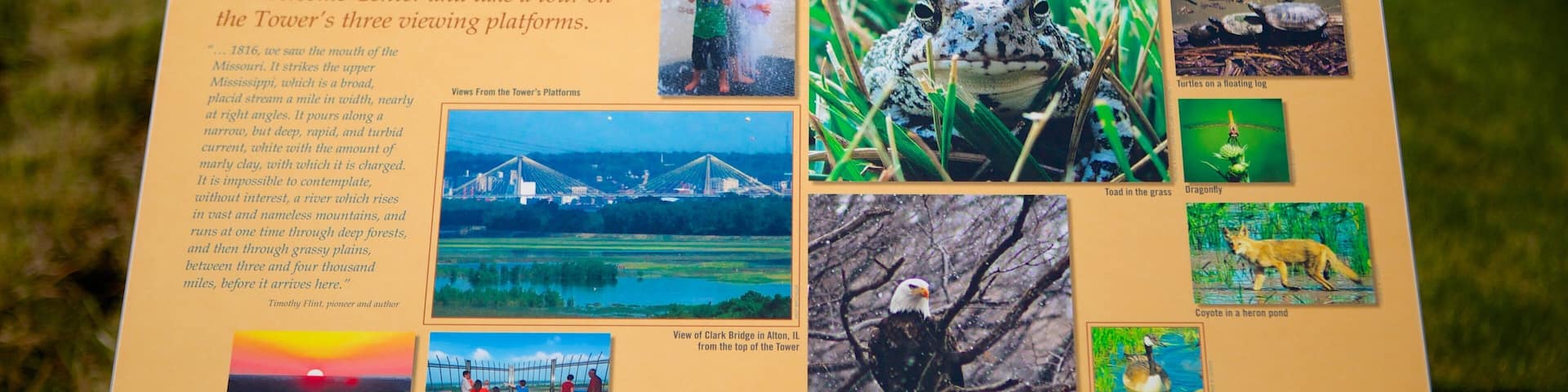 Lewis and Clark Confluence Tower which includes signage
