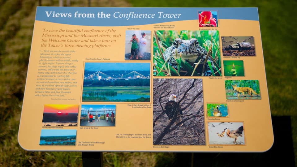 A signboard with views from the Confluence Tower, featuring a sunset, tour group, wildlife, and landscapes.