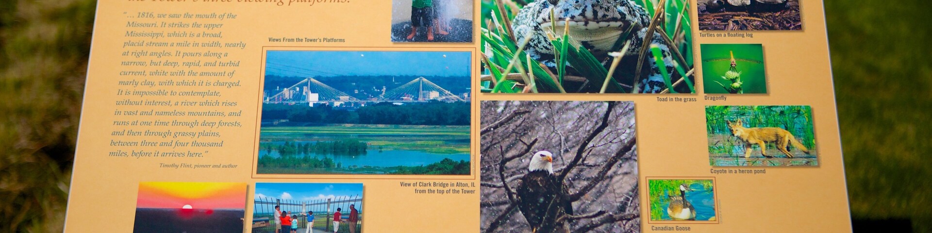 Lewis and Clark Confluence Tower which includes signage
