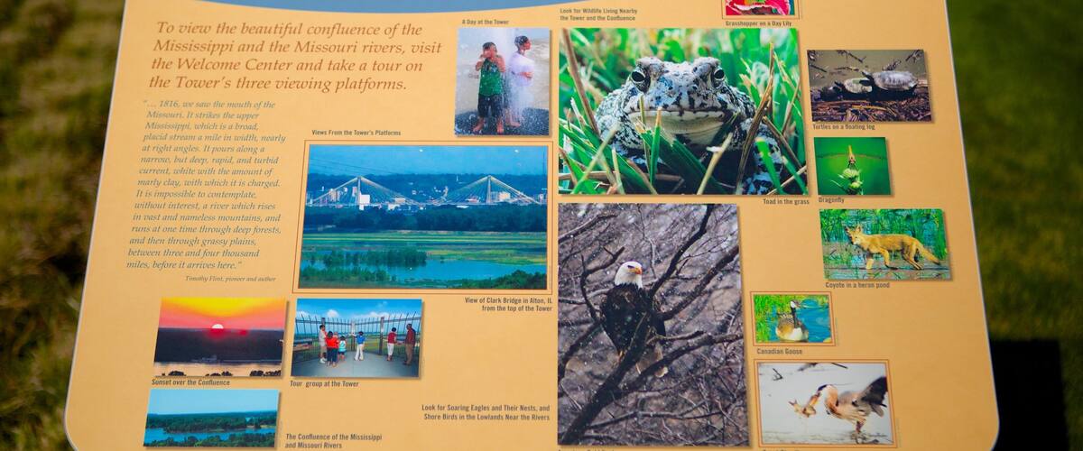A signboard with views from the Confluence Tower, featuring a sunset, tour group, wildlife, and landscapes.
