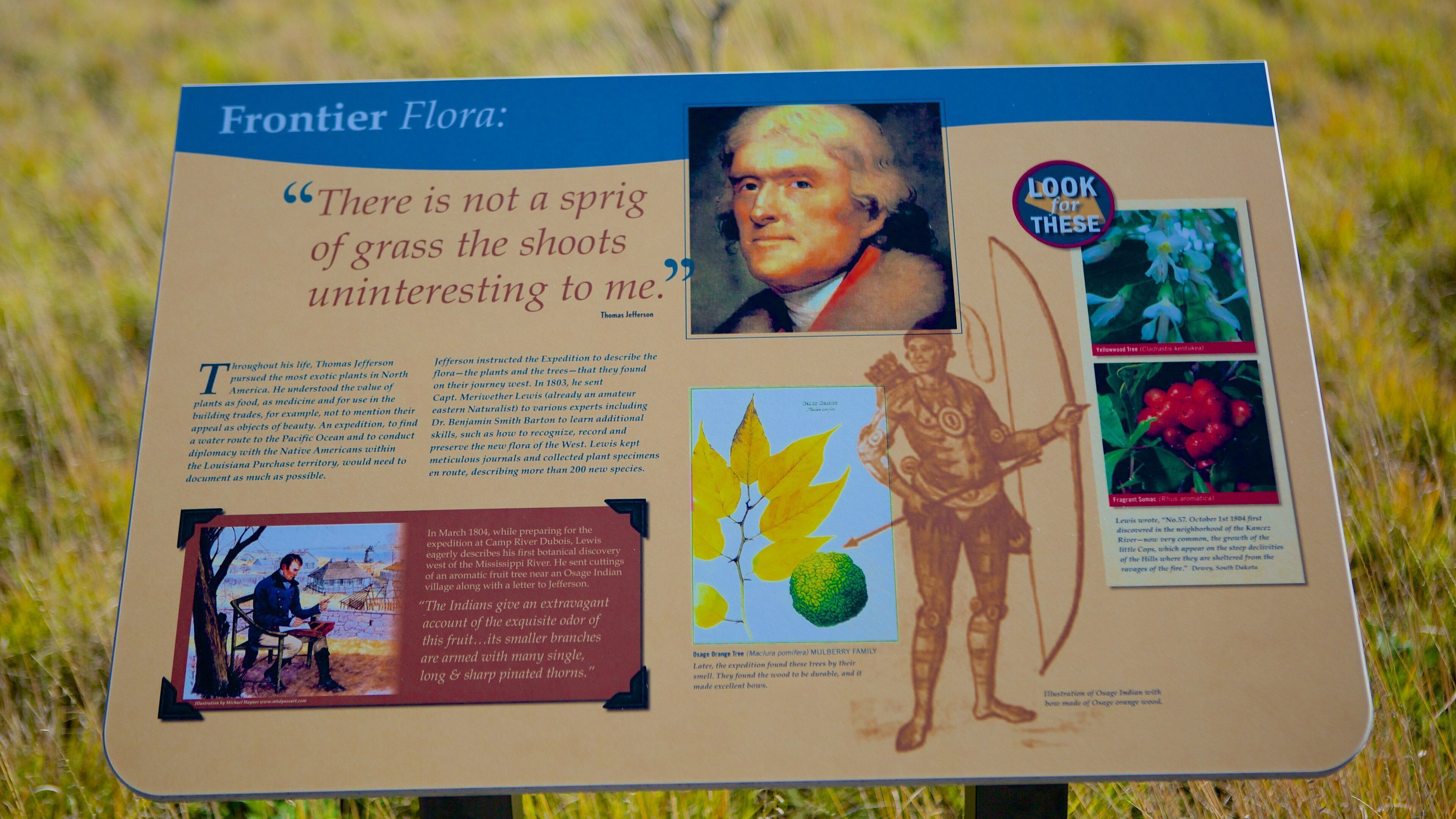 Lewis and Clark Confluence Tower which includes signage