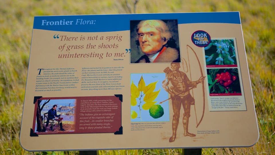 A historical exhibit about Thomas Jefferson's botanical explorations.