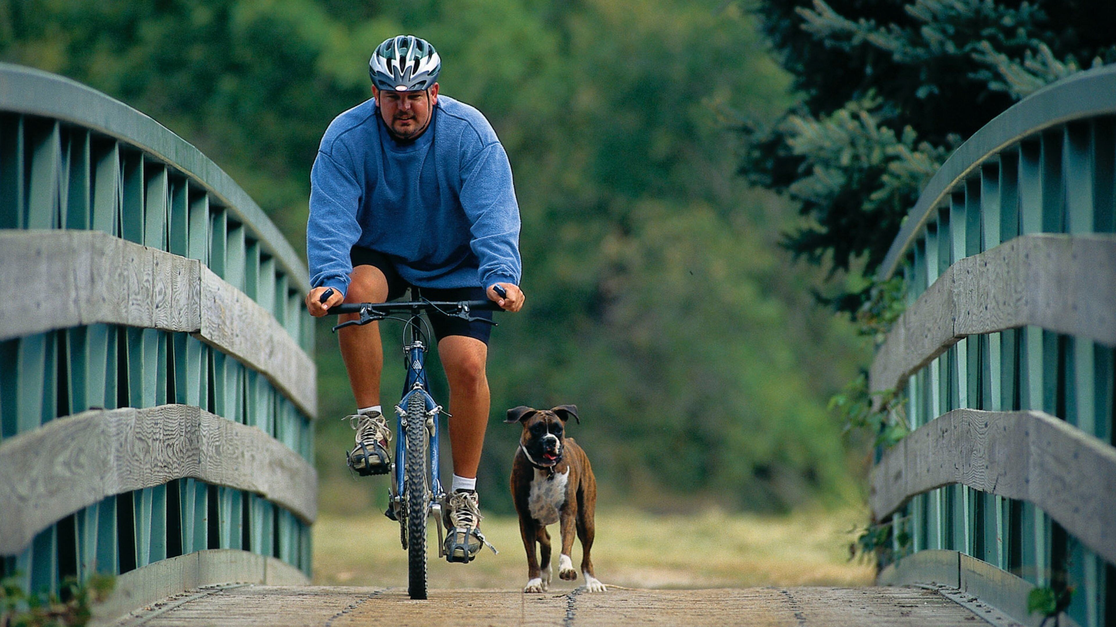 Lincoln which includes cycling as well as an individual male