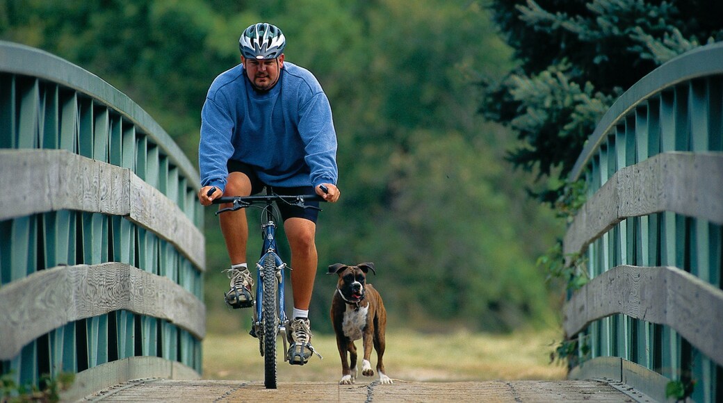 Lincoln which includes cycling as well as an individual male