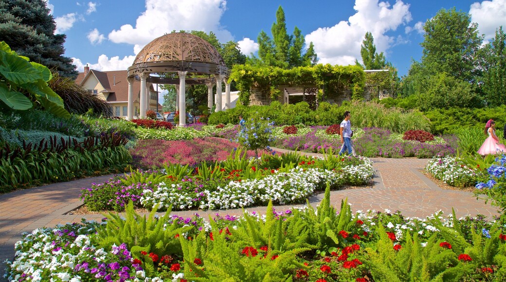 Sunken Gardens presenterar en trädgård och blommor såväl som en liten grupp av människor