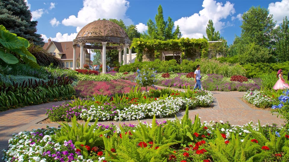 Sunken Gardens showing flowers, wildflowers and a park