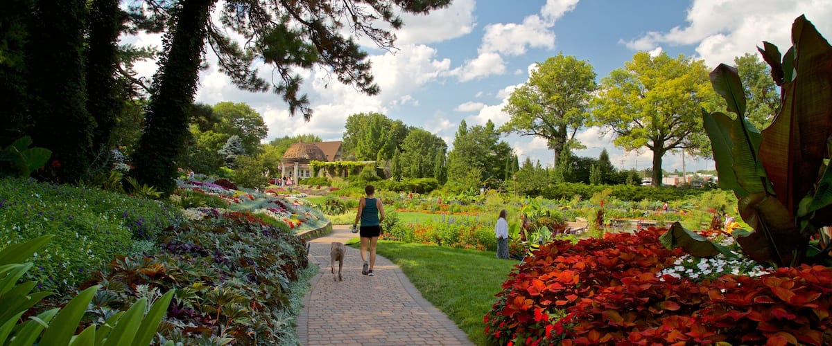 Sunken Gardens 其中包括 公園, 野花 和 可愛或容易親近的動物