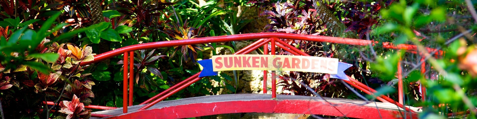 Sunken Gardens caracterizando um rio ou córrego, sinalização e uma ponte