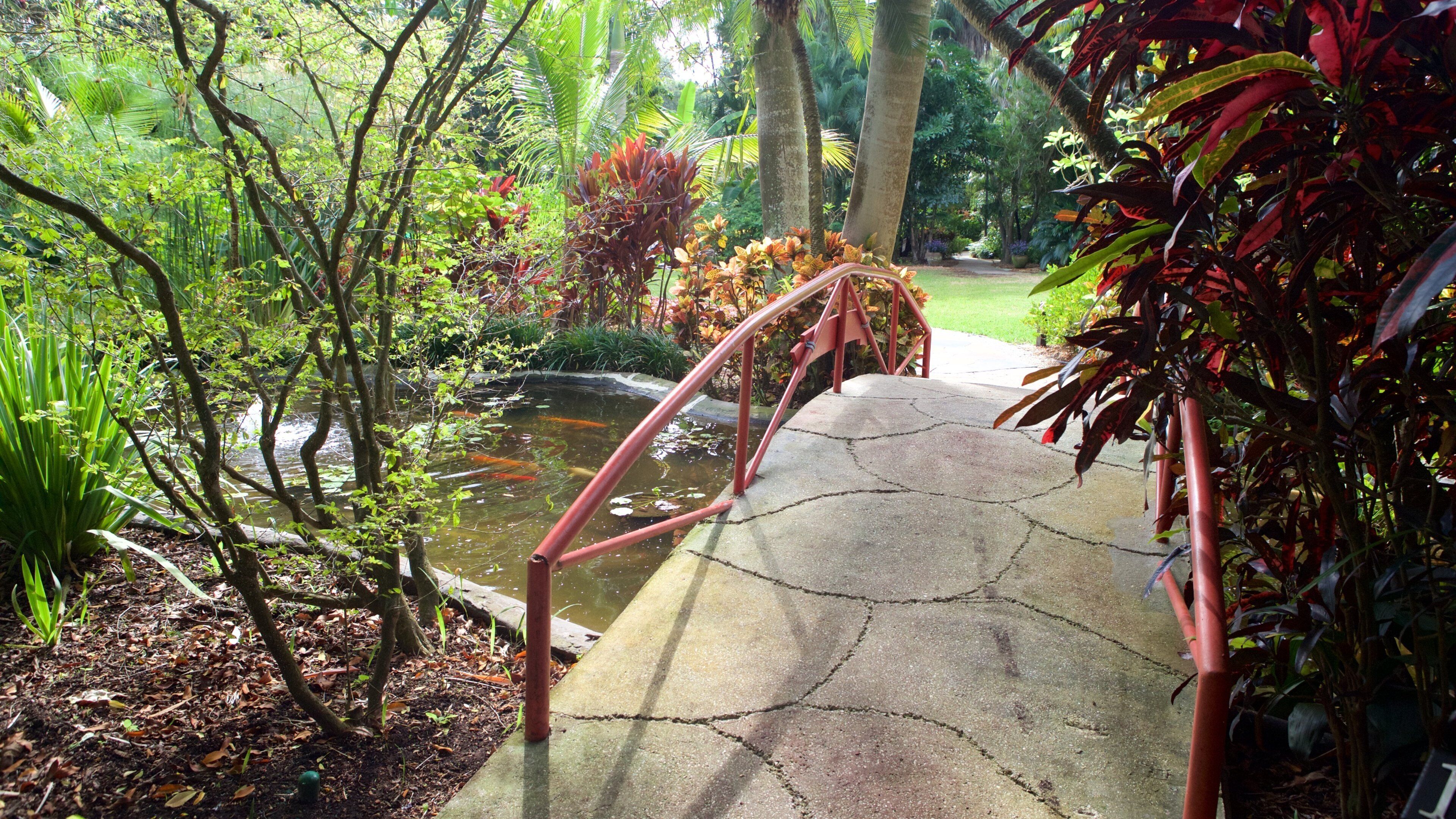 聖彼得堡 呈现出 橋梁 和 花園