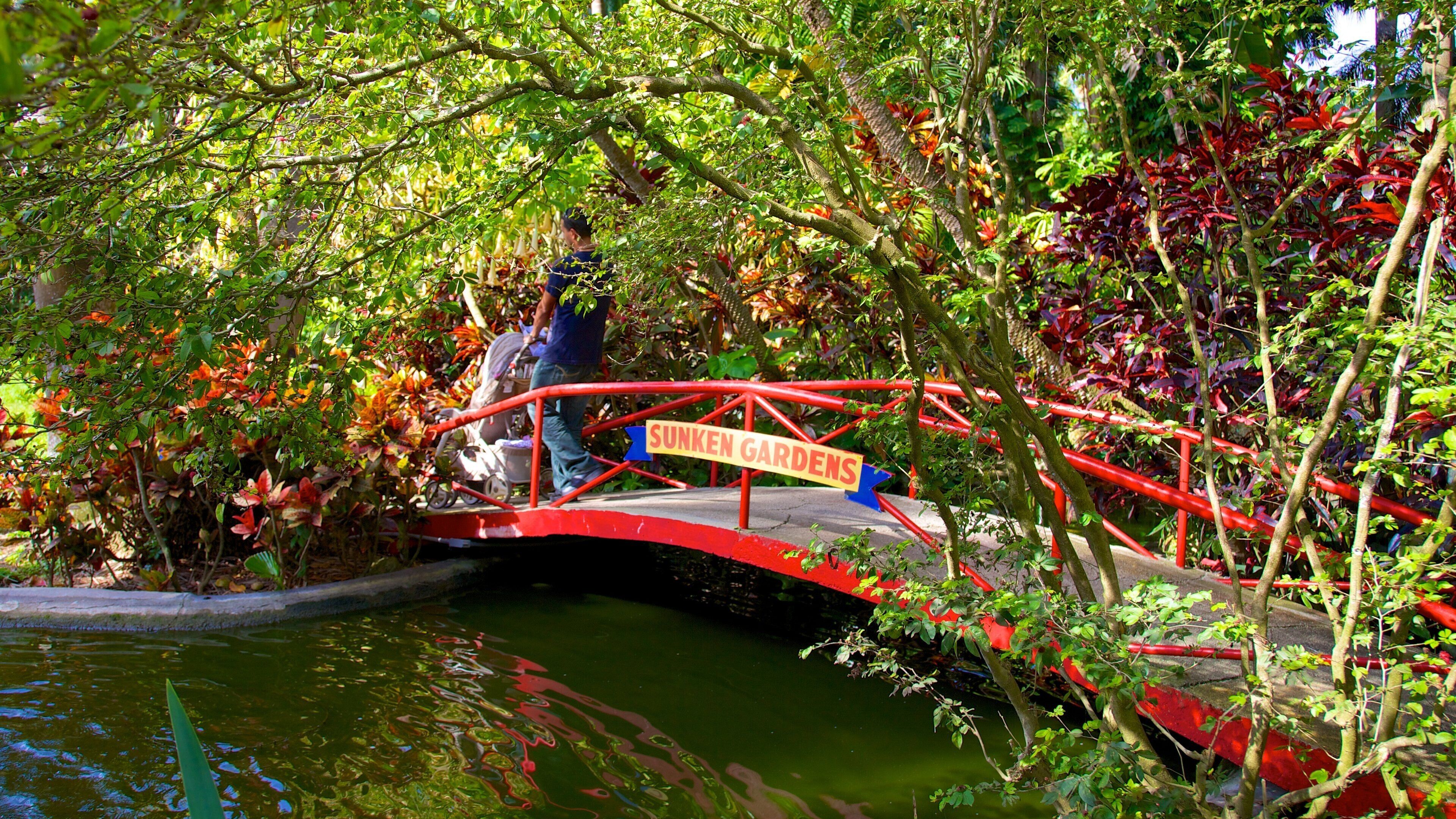 Sunken Gardens showing a park and a bridge