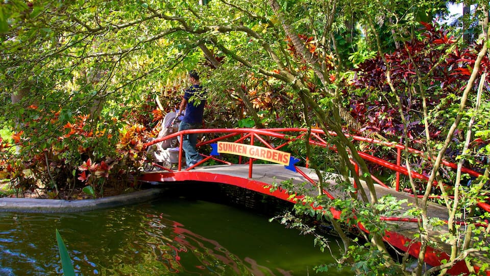 Sunken Gardens showing a park and a bridge