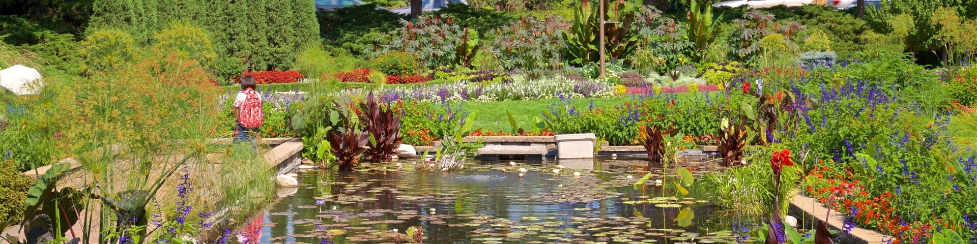 Sunken Gardens which includes flowers, a garden and wildflowers