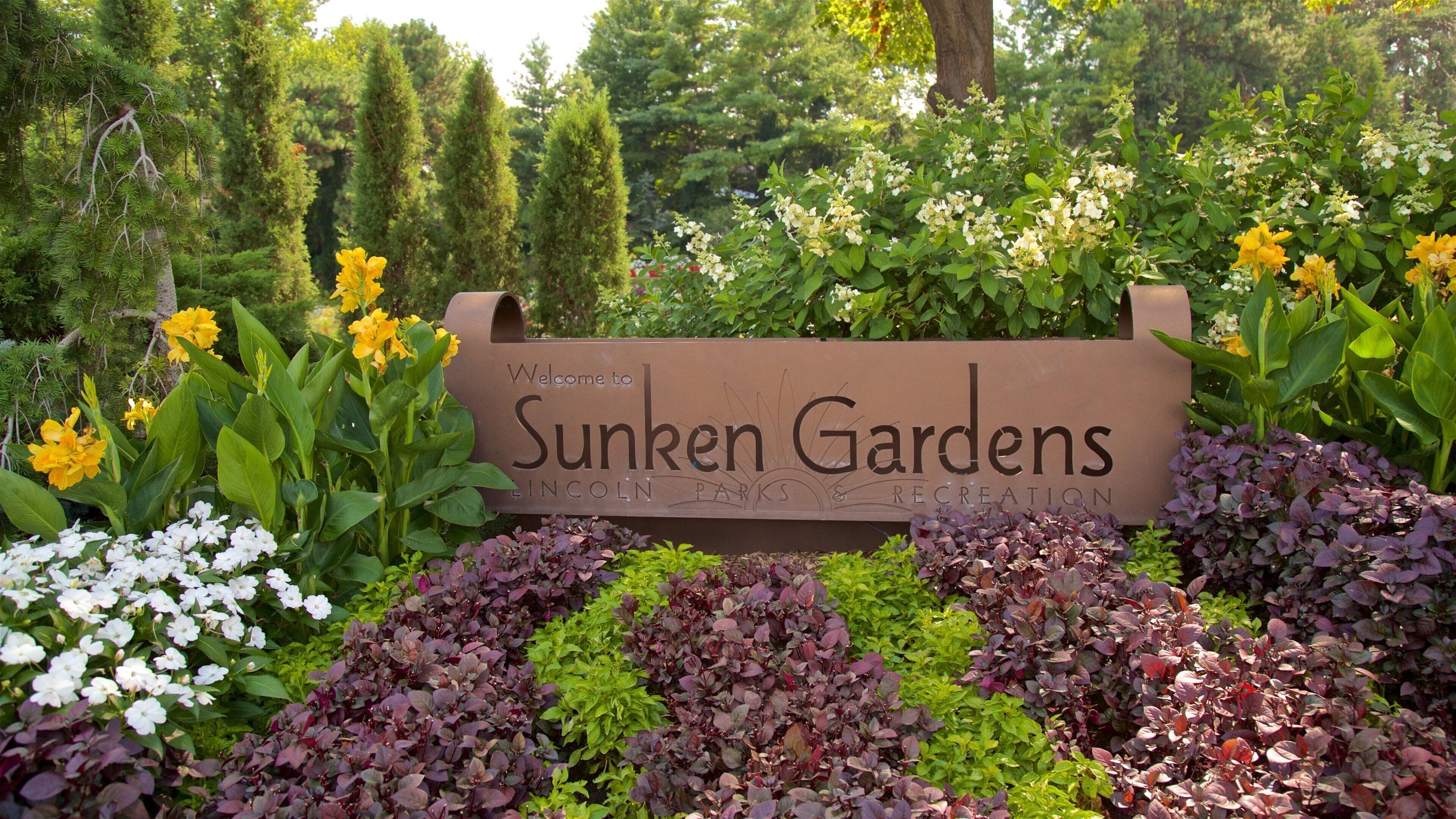 Sunken Gardens som inkluderar en park, blommor och skyltar