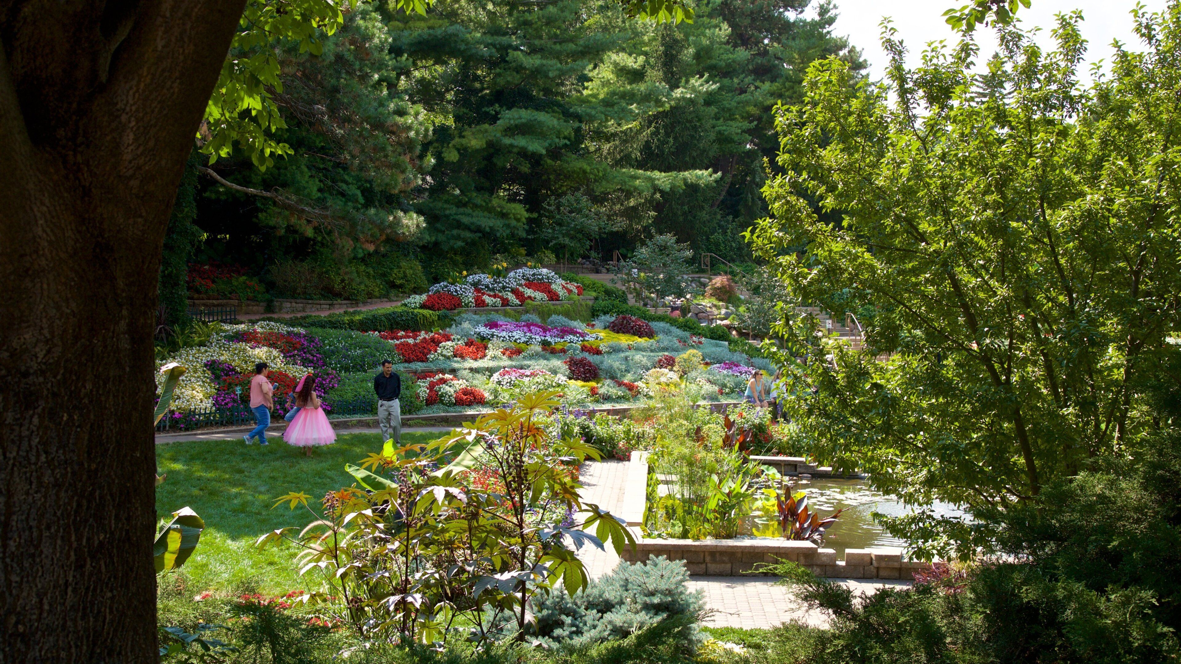 A lush garden with a variety of colorful flowers and a pond.