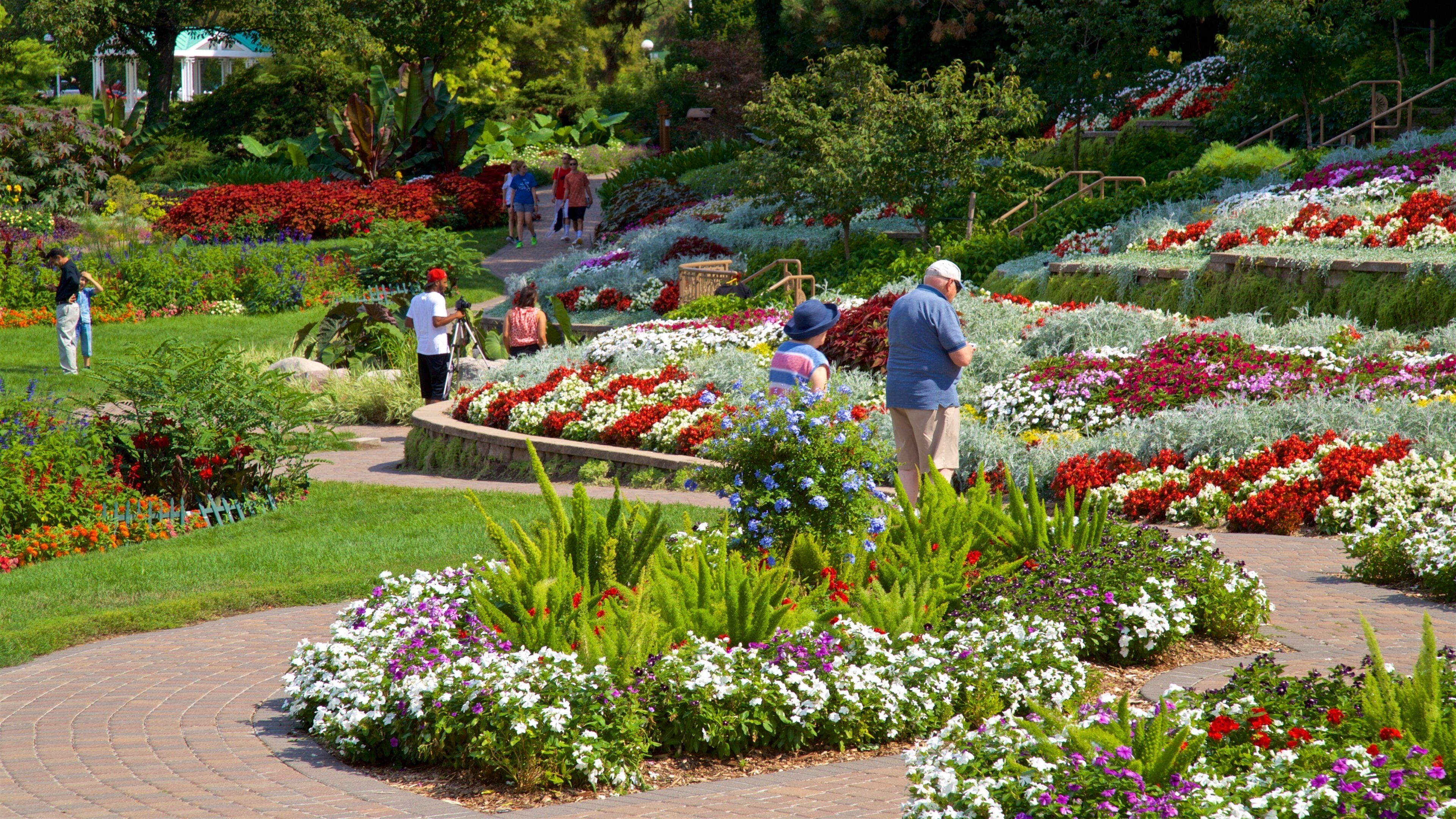 Sunken Gardens showing a garden, wildflowers and flowers