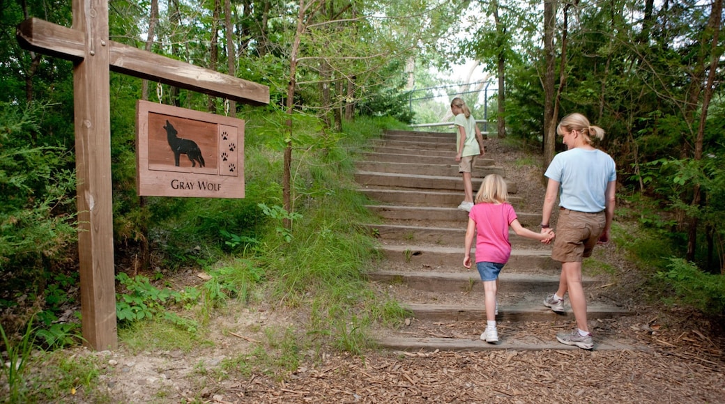 Lincoln featuring signage, hiking or walking and a garden