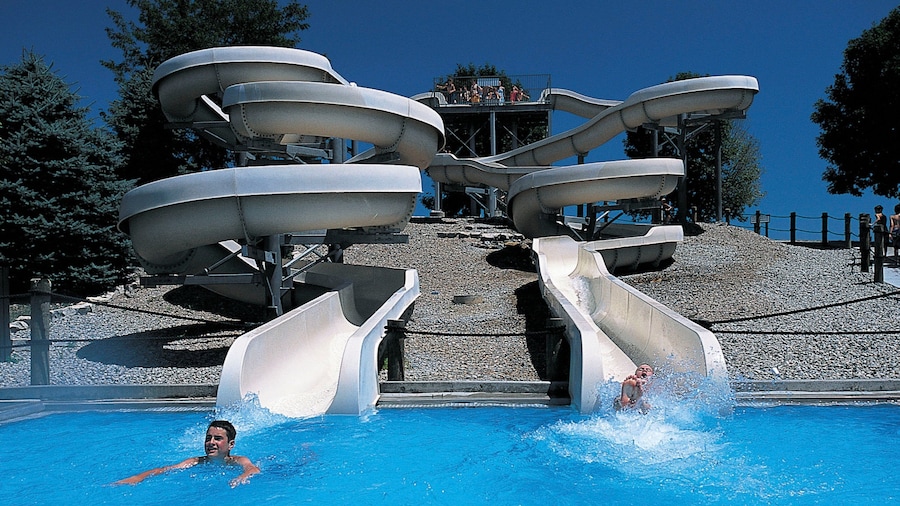 Lincoln mostrando natación, piscina y un parque acuático