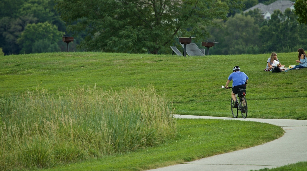 Zorinsky Lake Park featuring cycling and a garden as well as an individual male