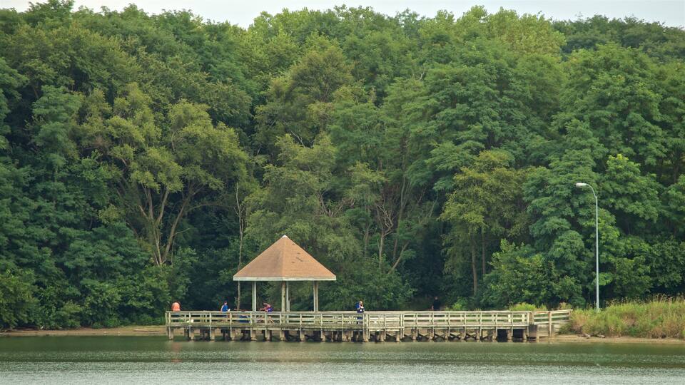 A wooden pier extending into a lake, surrounded by dense forest.
