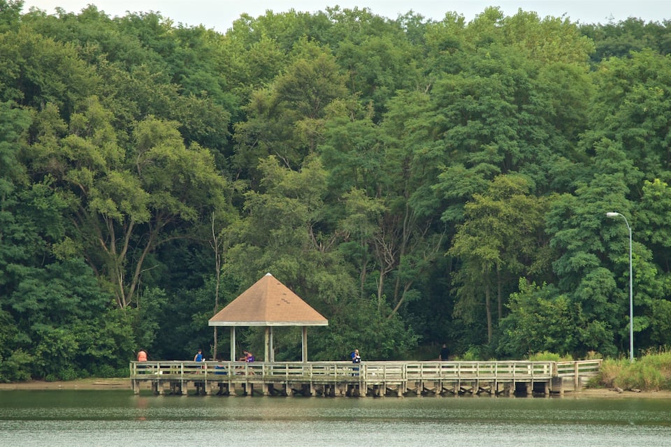 Un muelle de madera se adentra en un lago, rodeado de un bosque denso.