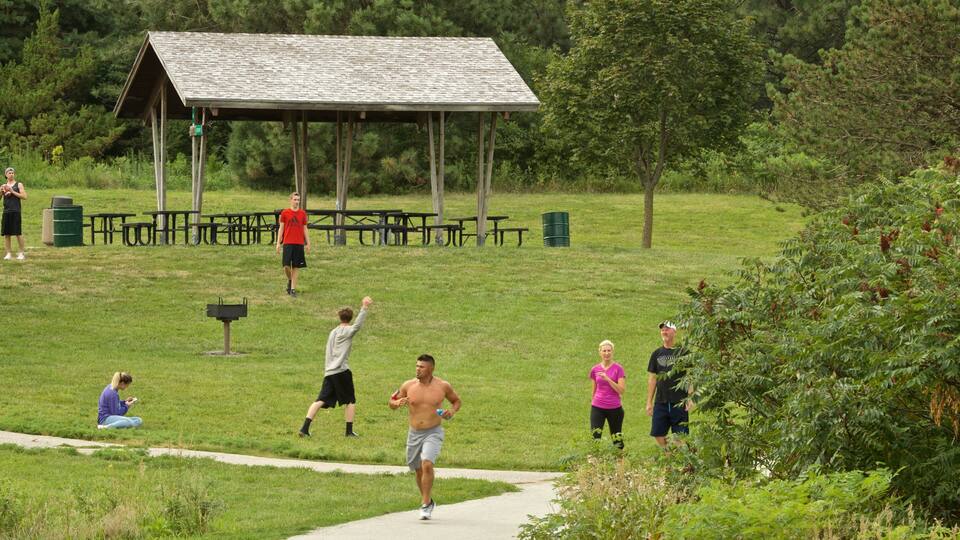 A park with a picnic area, a running path, and people exercising.