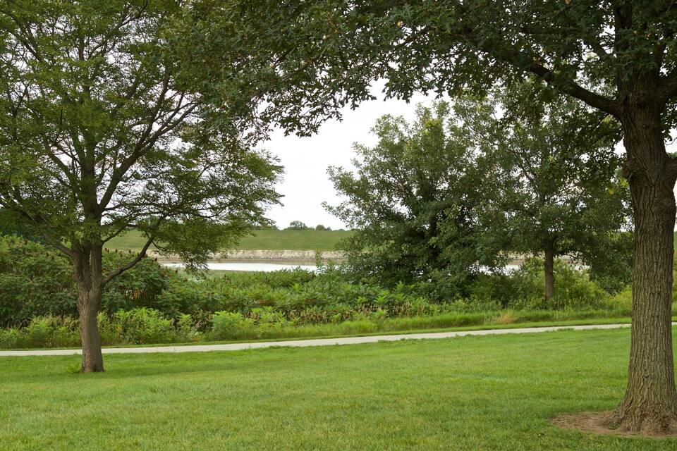 Un parco con un sentiero, alberi e uno specchio d'acqua sullo sfondo.