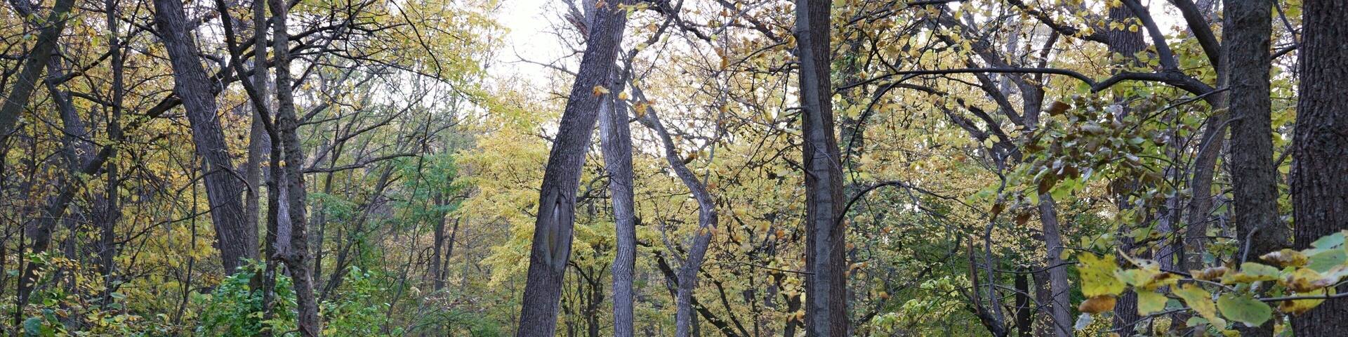 Beautiful park that runs along the Missouri River