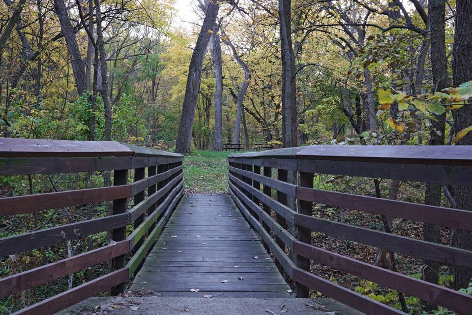 A wooden bridge in a forest with autumn foliage.