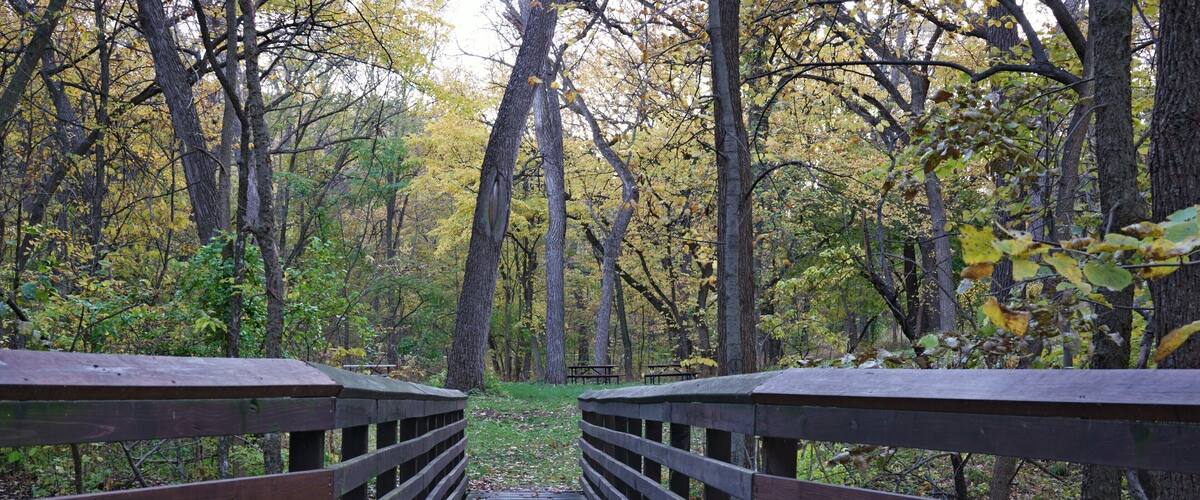 A wooden bridge in a forest with autumn foliage.