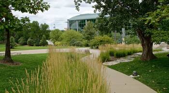 Pioneer Courage Park mettant en vedette parc