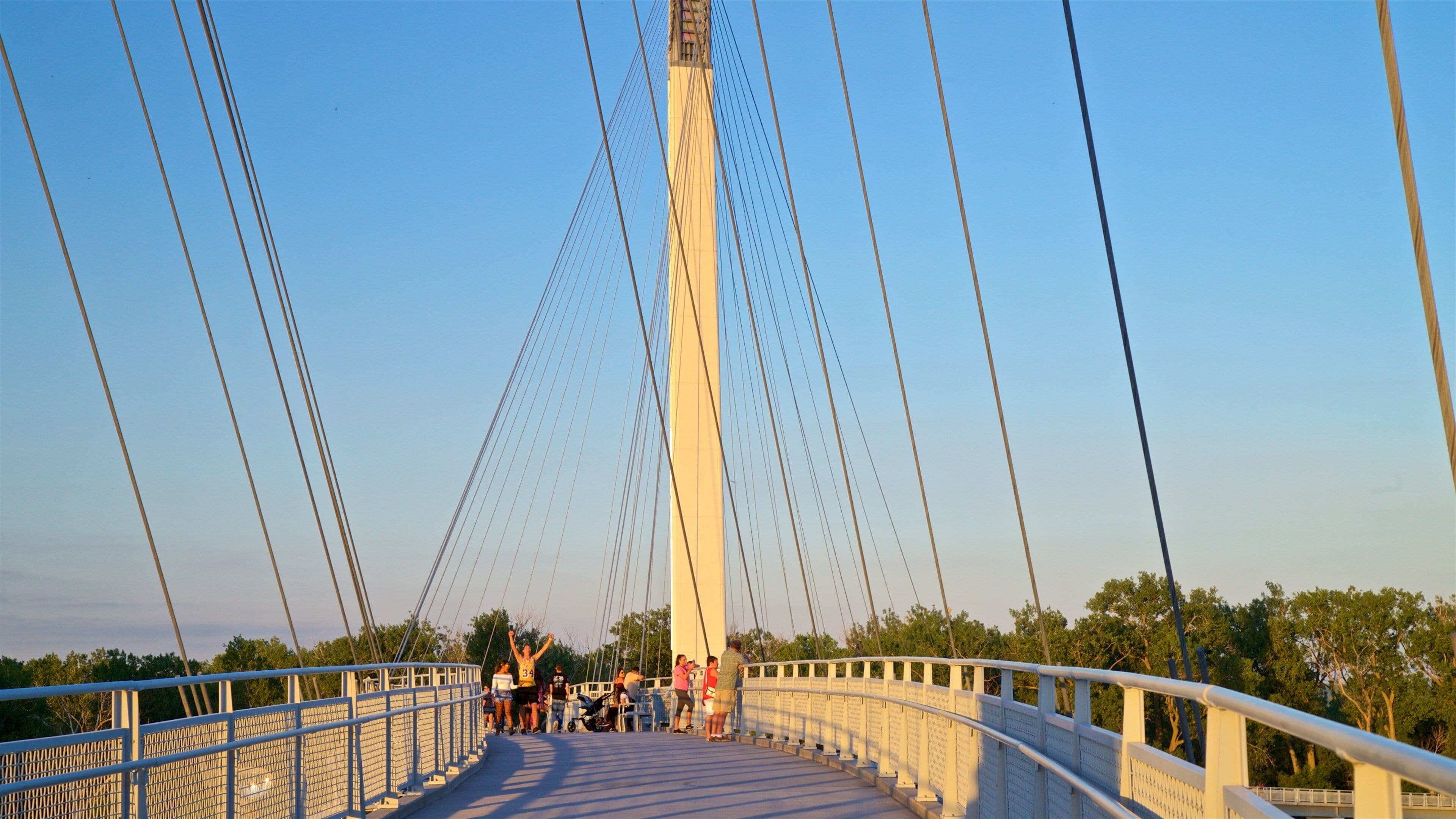 A pedestrian bridge with a central tower and cables, surrounded by trees and people.