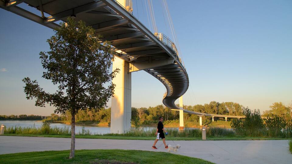 A pedestrian bridge over a river, a tree, and a person walking a dog.