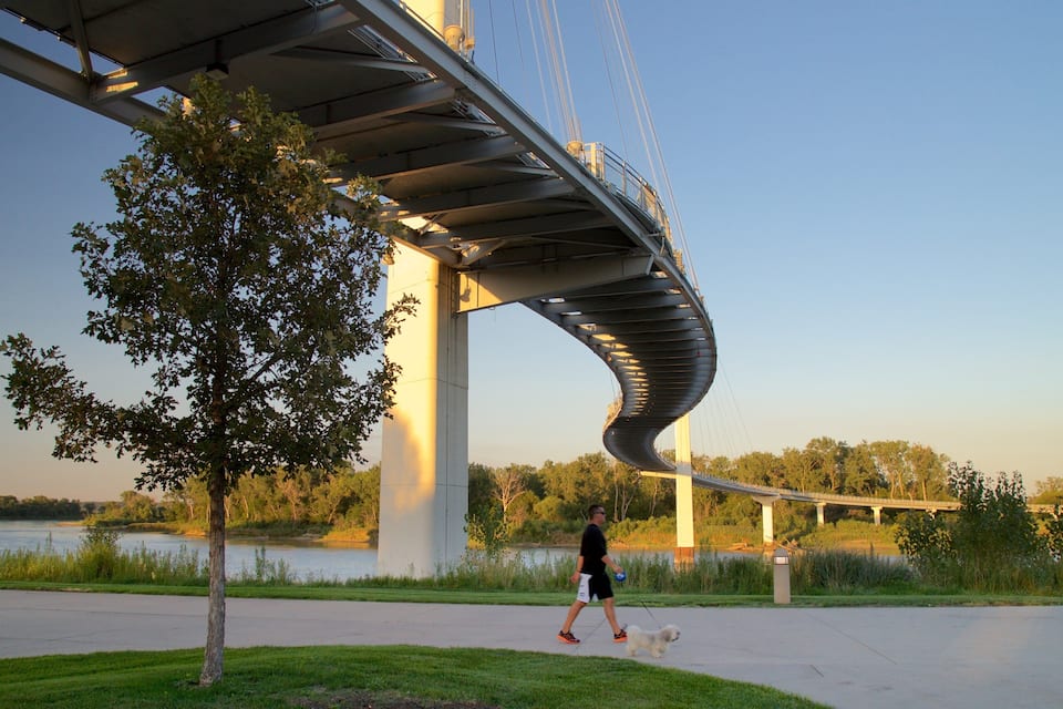 A pedestrian bridge over a river, a tree, and a person walking a dog.