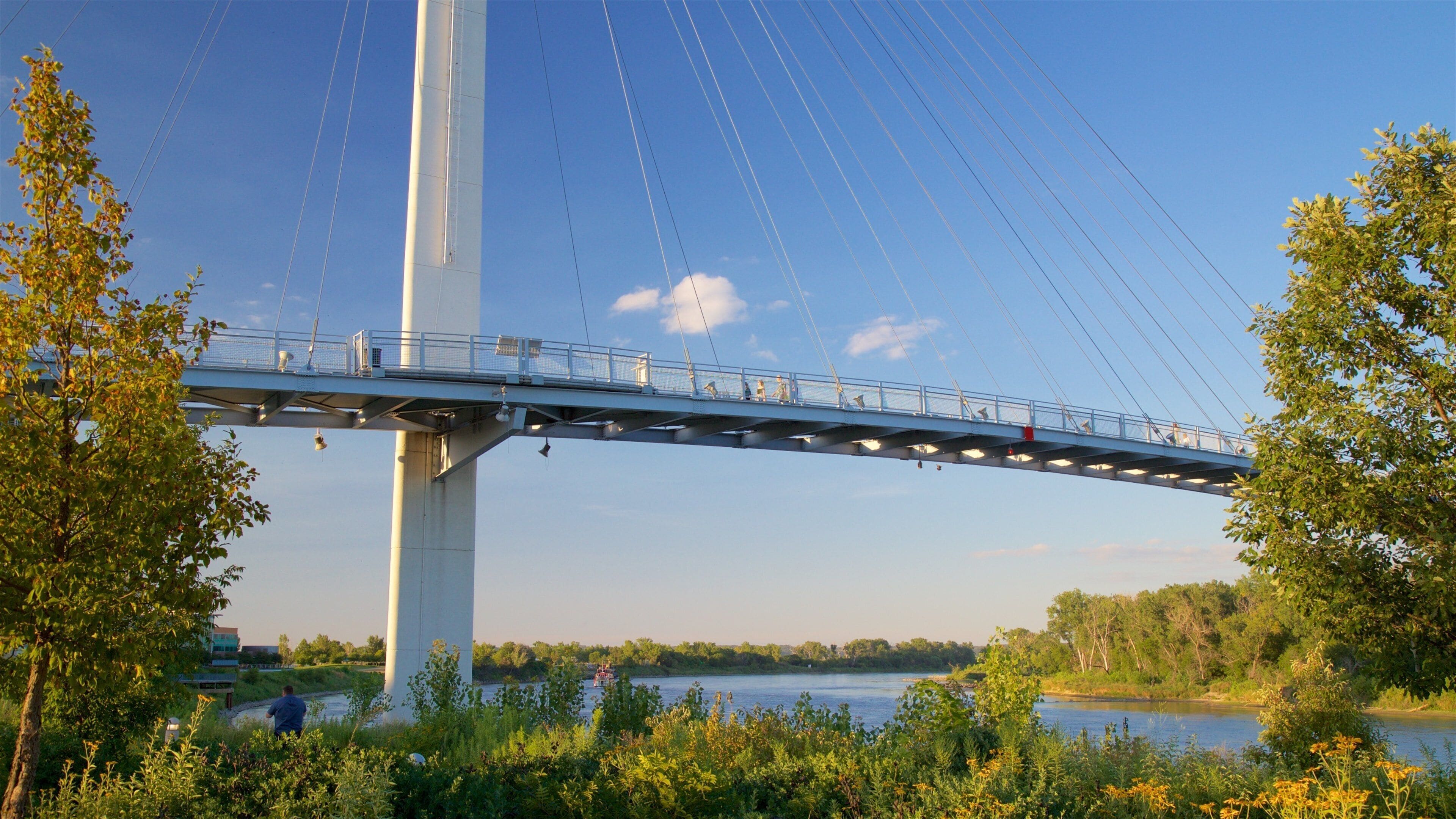 A large white bridge with multiple cables spanning over a river, surrounded by lush greenery and trees.