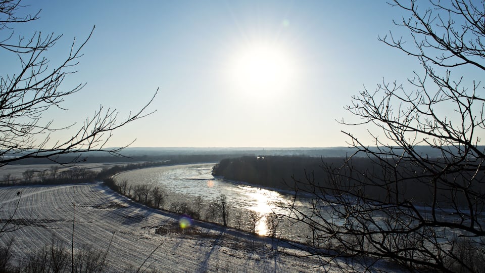 A river with a clear sky and bare trees.