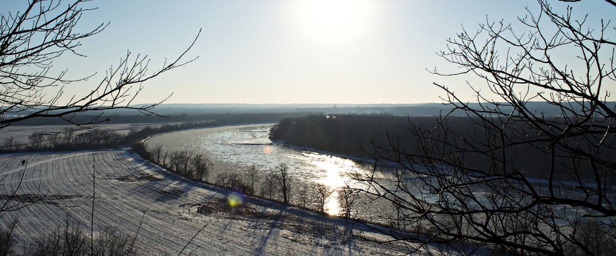 A river with a clear sky and bare trees.
